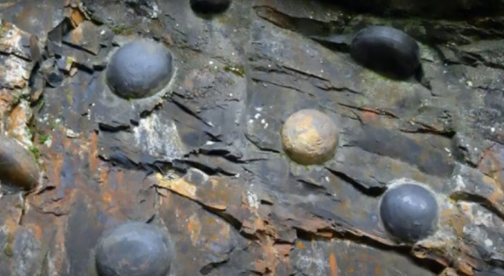 Pourquoi la falaise déposent des œufs de roche : l'explication scientifique