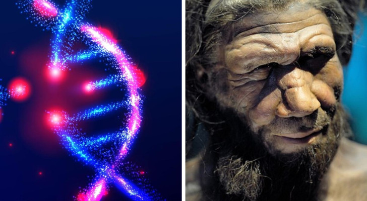 Perché abbiamo il corredo genetico del Neanderthal?