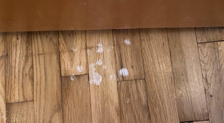 Il metodo infallibile per far sparire la vernice secca dal pavimento di legno