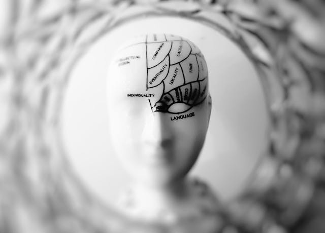 Hoe wordt IQ berekend?