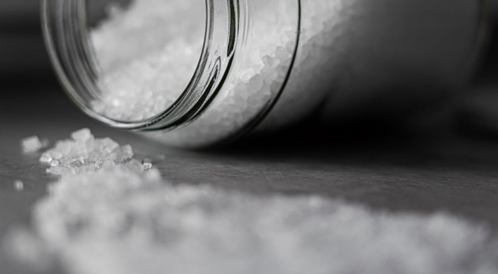 Das Geheimnis ist das Salz: Forschung von 2014