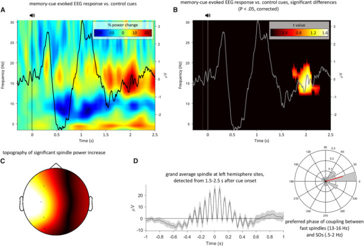 L'apprendimento di informazioni mentre dormiamo non è impossibile