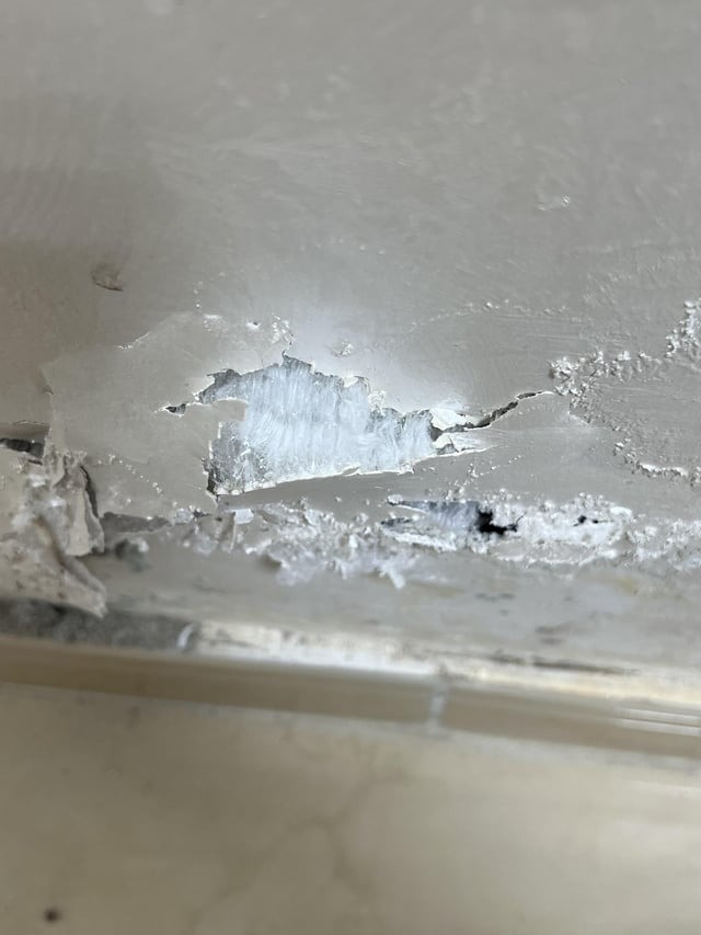 How to prevent white mold appearing on walls?