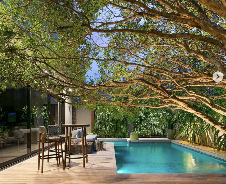 4 - Pool surrounded by greenery