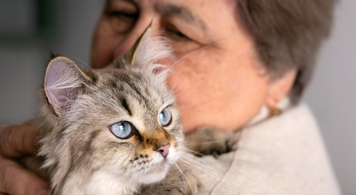 signora con gatto