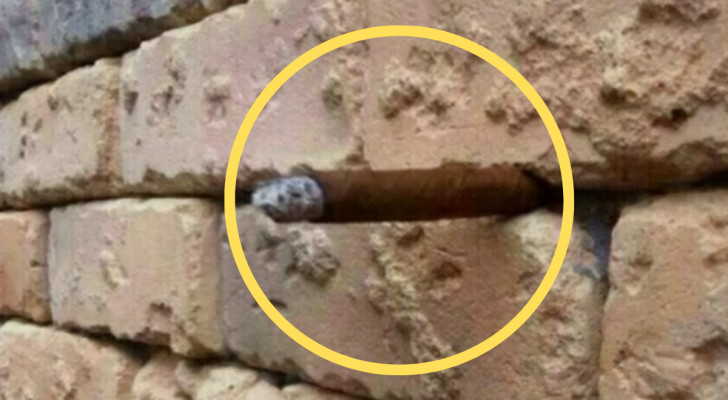 Soluzione dell'illusione ottica: nel muro c'è un sigaro