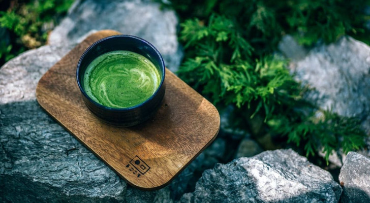 Perché il tè matcha è diverso dagli altri tè?
