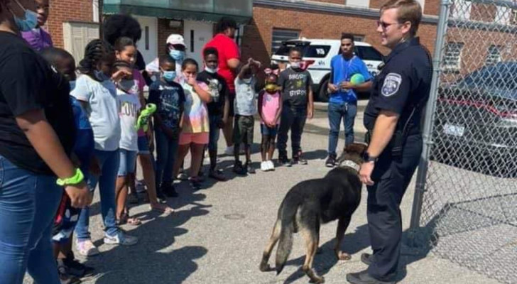 Ritrovano cane poliziotto in un rifugio per animali