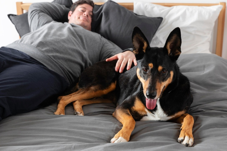 Dormire con il cane è una buona abitudine?