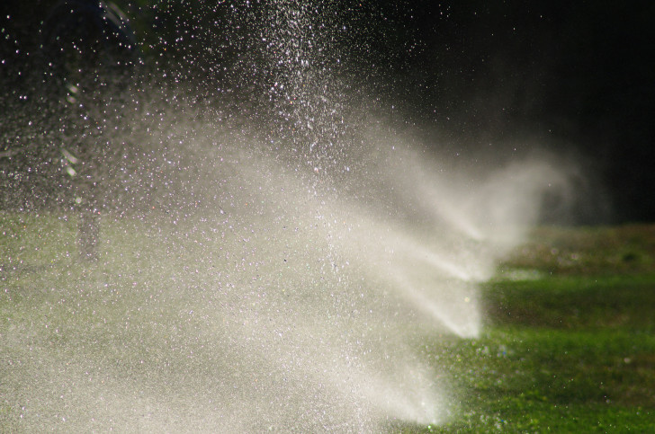 7. Irrigate il prato solo quando necessario
