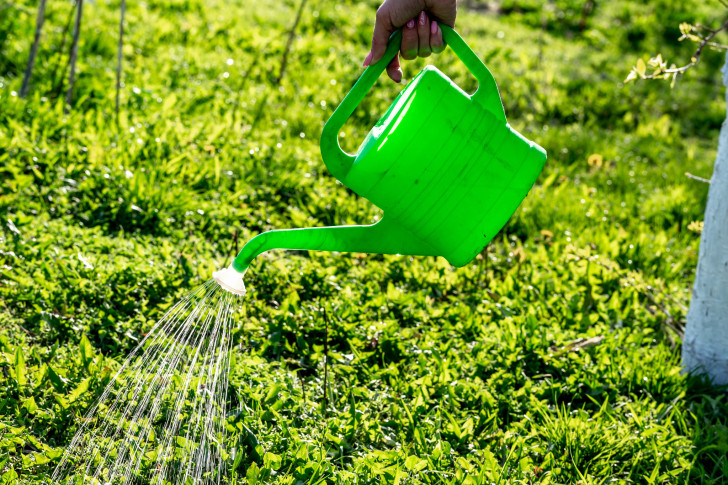 9. Irrigate solo nelle ore più fredde