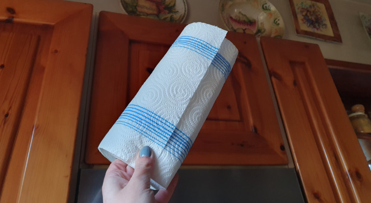 Een rol keukenpapier om het schoonmaken te vergeten