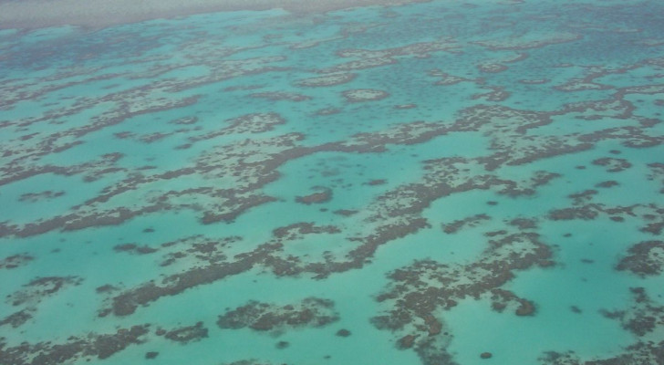 Un’area inesplorata oltre la barriera corallina