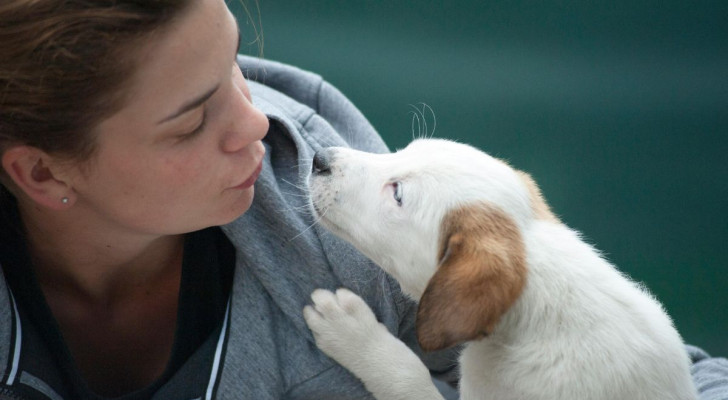 Quando l'olfatto di un cane è importante anche per le persone
