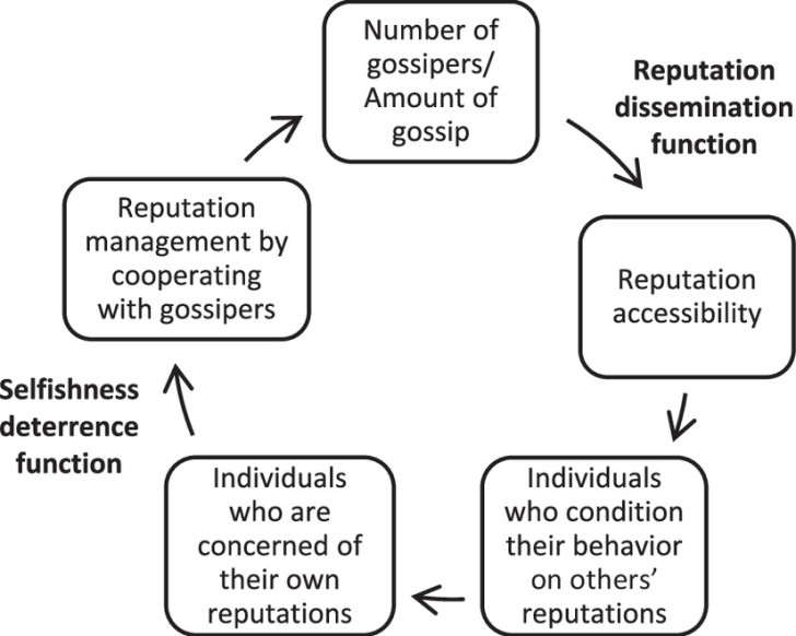 L'onnipresenza del gossip nella società umana: perché?