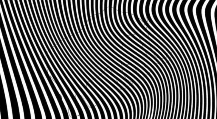 Optische illusie van de zebra-achtergrond, wat verbergt het?