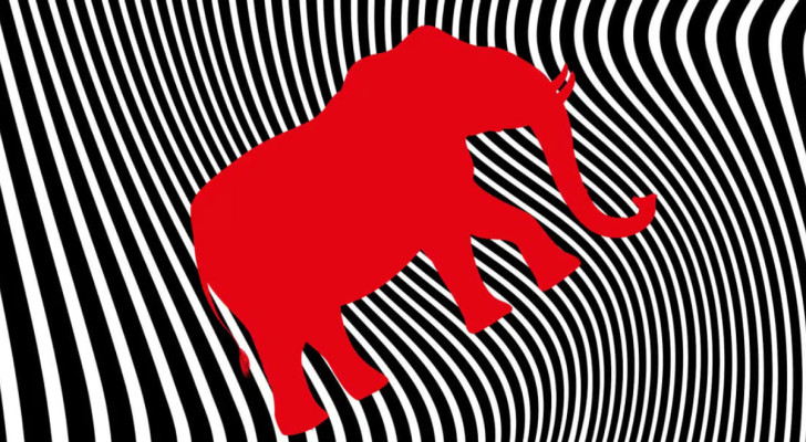De oplossing van de optische illusie: achter de zebra-achtergrond bevindt zich een olifant