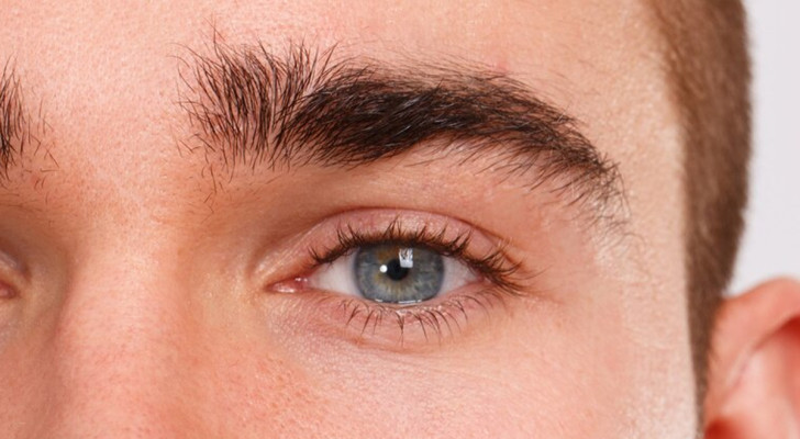 Quelle est la fonction des cils ?