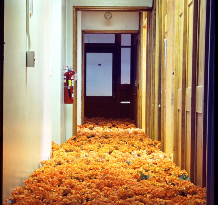28.000 fiori riempiono le stanze di un centro di salute mentale - 5