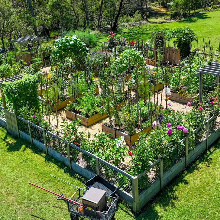 8. Set up a vegetable garden