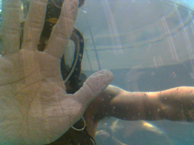 Les doigts se fripent dans l'eau : l'explication du phénomène