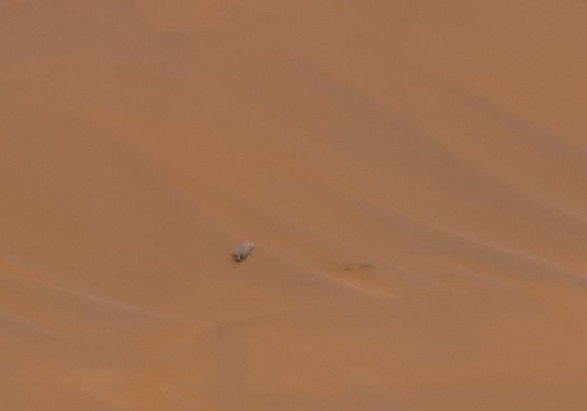 La mission sur Mars d'Ingenuity s'est brusquement écrasée au sol