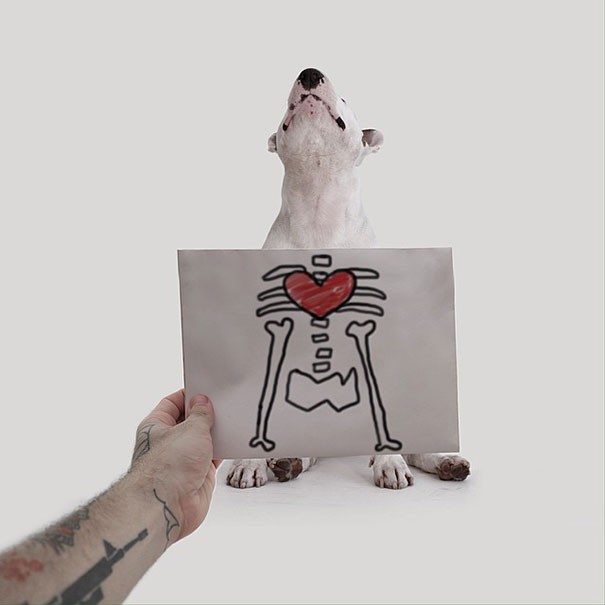 Un chien, un marqueur et un mariage terminé: voici comment naît un projet artistique génial - 10