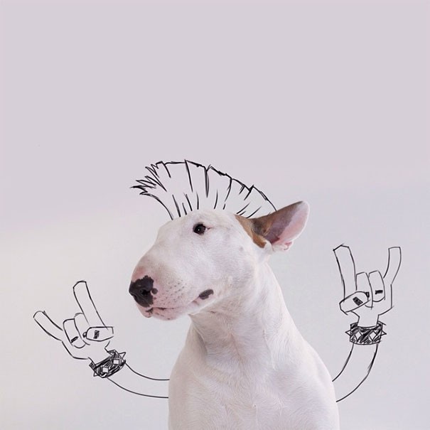Un chien, un marqueur et un mariage terminé: voici comment naît un projet artistique génial - 19