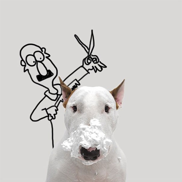 Un cane, un pennarello e un matrimonio finito: ecco come nasce un progetto artistico pazzesco - 2