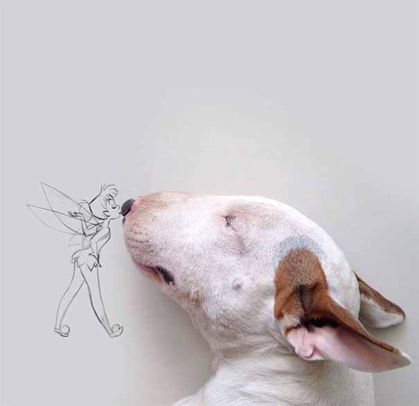 Een hond en een marker vormen een perfecte match: hier zie je hoe dit kunstproject tot stand is gekomen - 4