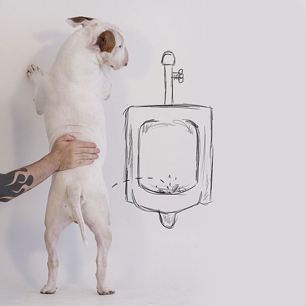 Un chien, un marqueur et un mariage terminé: voici comment naît un projet artistique génial - 8