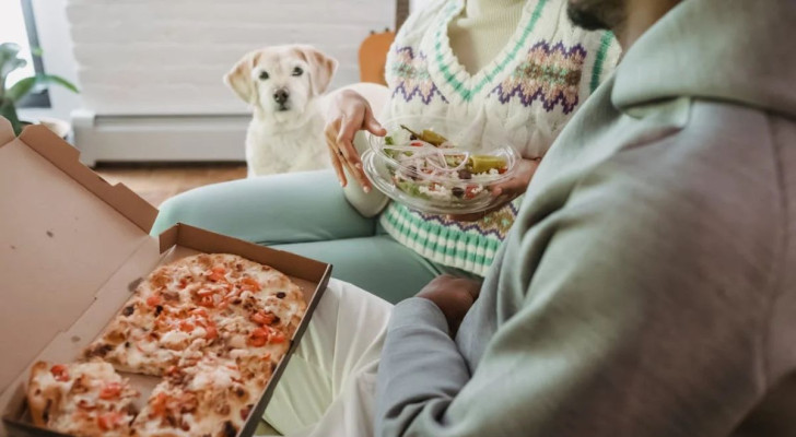 Lasciare che il cane chieda il cibo è giusto o sbagliato?