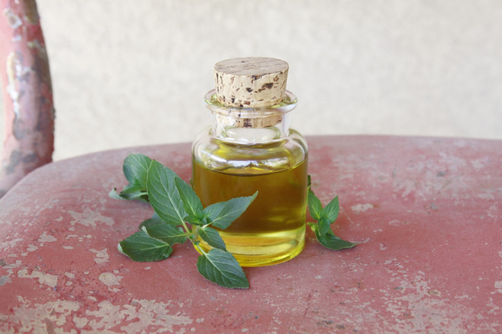 Comment utiliser l'huile essentielle de menthe contre les souris