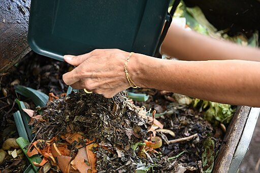 Come avviare con successo il compost domestico