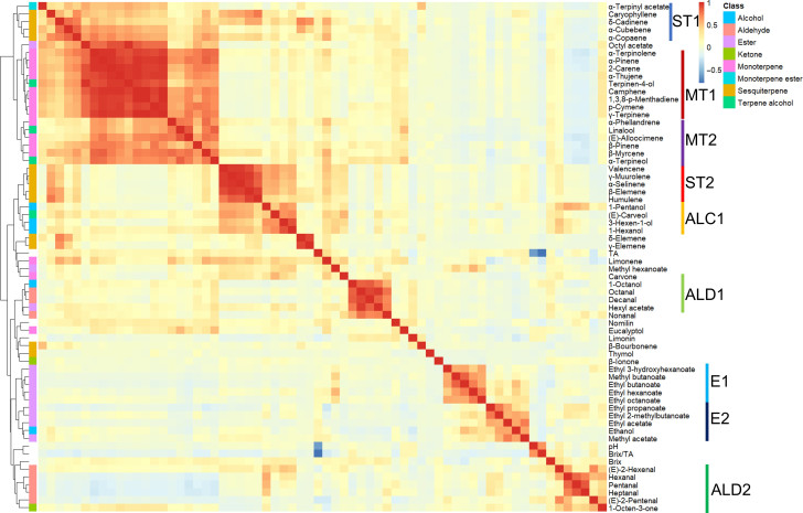 Apelsinens smak består av 26 olika föreningar