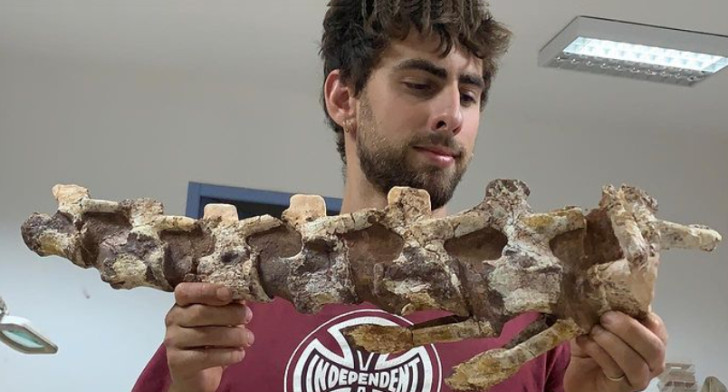 Findet den Beckenknochen eines Titanosauriers