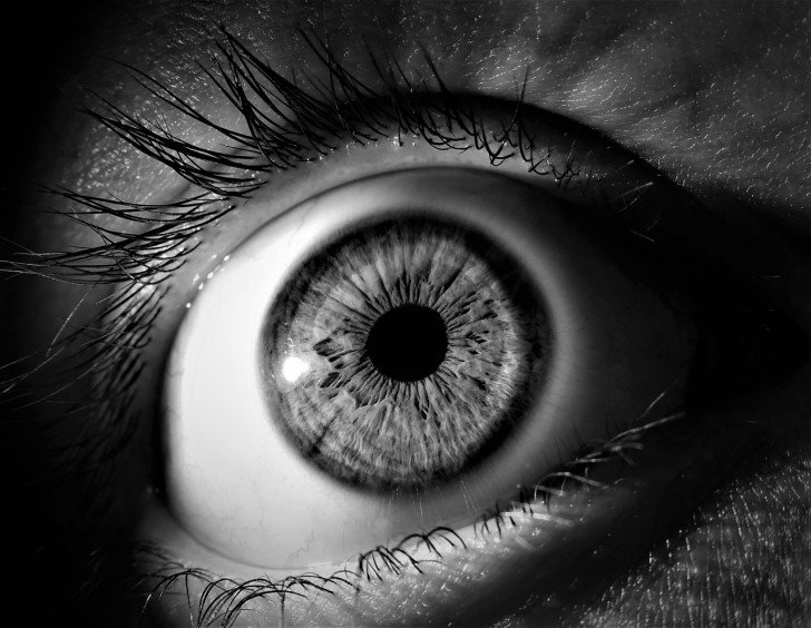 Dimensione della pupilla e intelligenza