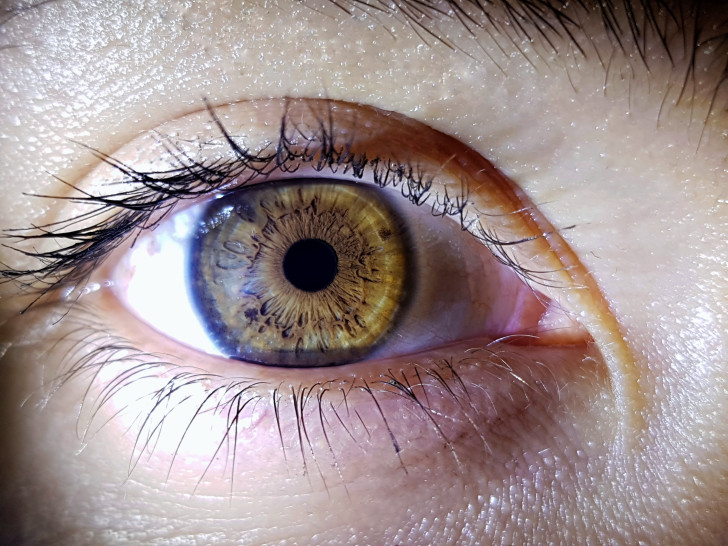 Pupilla connessa all'intelligenza: una proposta controversa