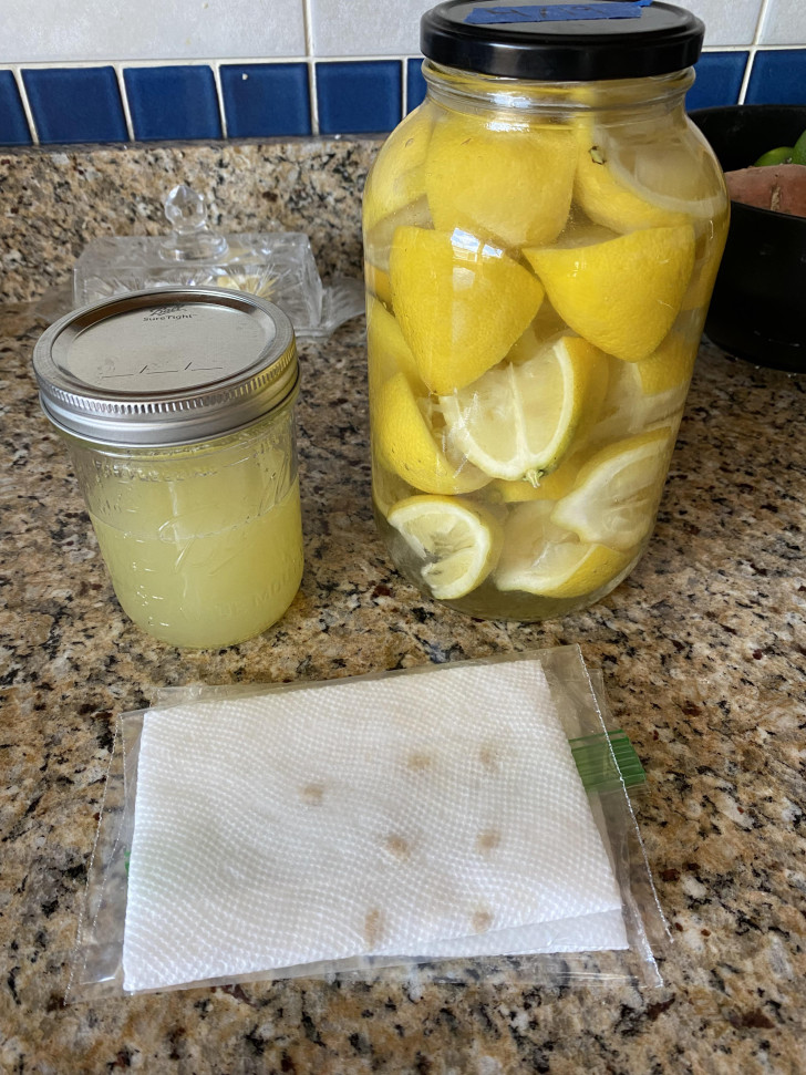 Die Zutaten für ein Do-it-yourself-Spülmittel aus Zitronen in einem Küchenregal