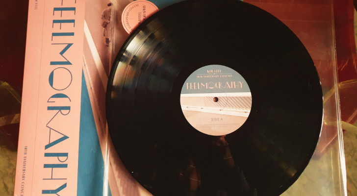 Dry-cleaning of vinyl records
