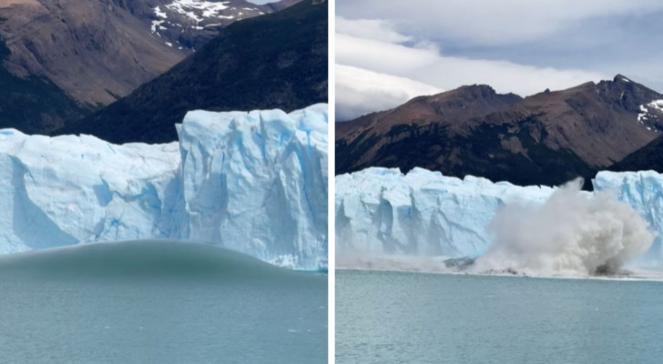 “Per cosa battono le mani? Per il cambiamento climatico?”: i commenti del web al video virale