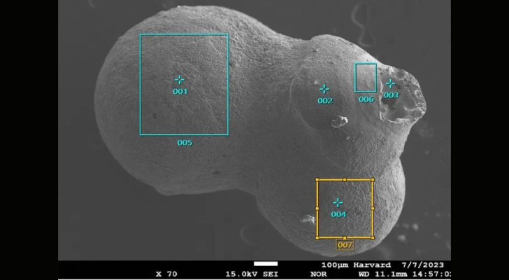 En kropp från det interstellära rymden kraschar in i Jorden: "det är inte en normal meteorit"