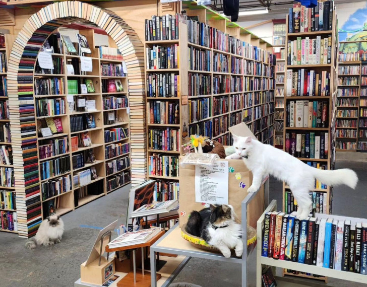 La straordinaria libreria Cupboard Maker Books