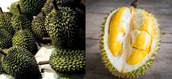 11. DURIAN