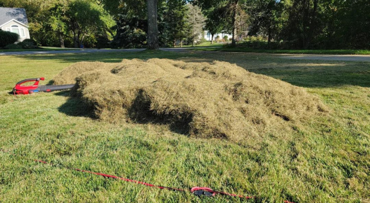 The benefits of mulching with grass cuttings