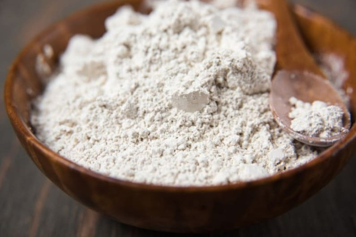 What is Diatomaceous earth?