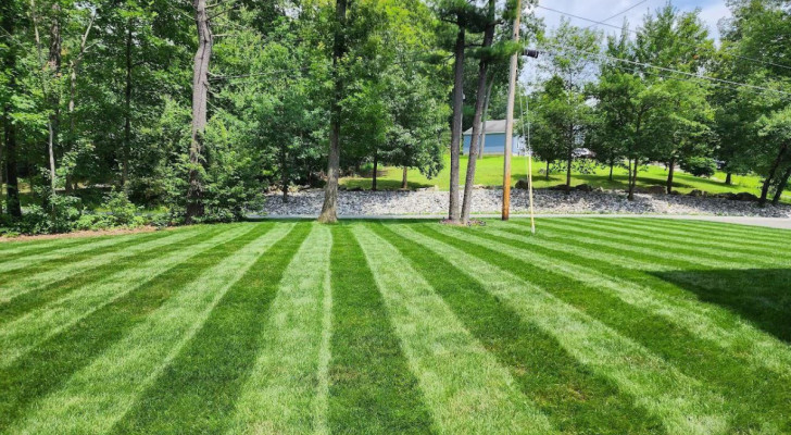 When and how to lime to the lawn