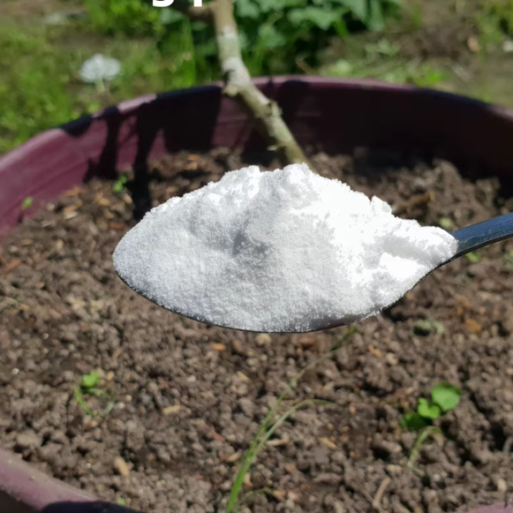 Baking soda to neutralize odors emanating from the compost