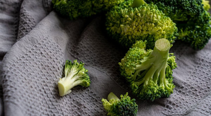 I broccoli e il sulforafano, il composto che protegge le nostre cellule