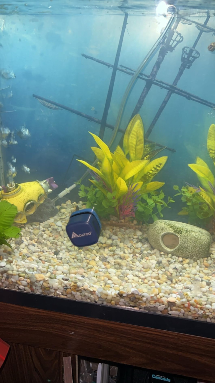 3. Clean aquariums with magnets